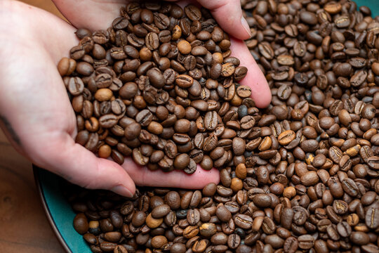 Kaffeebohnen in Hand