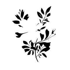 Fototapeta na wymiar leaf vector, herb silhouette, silhouette plant, silhouette flower, silhouette floral, plantpot, leaf, tree, plant, nature, vector, bamboo, pattern, branch, silhouette, floral, flower, design,