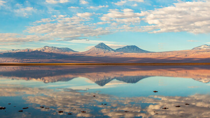 Obraz premium Nevado Licancabur Volcano reflected in Laguna Chaxa in the Atacama Desert, Chile.