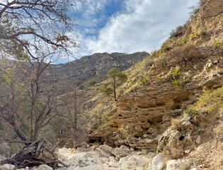 A dry desert landscape of a riverbed and canyon wall in Guadalupe Mountains National Park, Texas, USA.