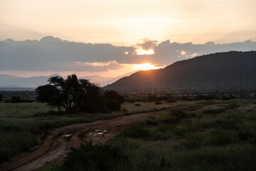 beautiful landscape with single trees against the sky in Kenya