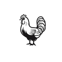 Fototapeta na wymiar rooster chicken hen vector illustration isolated transparent background, cut out or cutout t-shirt design