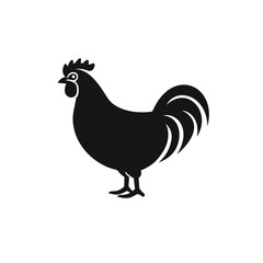 Fototapeta na wymiar rooster chicken hen vector illustration isolated transparent background, cut out or cutout t-shirt design