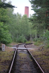 tory i komin © Konrad