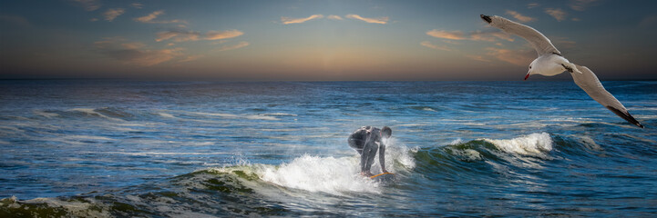 a surfer surfing the Oregon coast at sunset with a seagull flying
