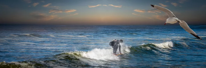 Fototapeten a surfer surfing the Oregon coast at sunset with a seagull flying © Ralph Lear