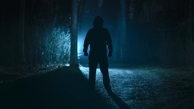 An ominous male silhouette in a night foggy forest. A scary figure from horror films stands menacingly on a forest path in the dark.