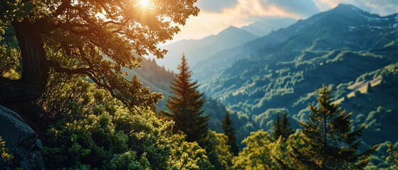 Sunlight bathes a forest trail with mountain peaks above
