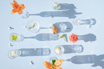 Drinking glasses with a shadow from the sun and flowers on a blue background. Spring and Summer...