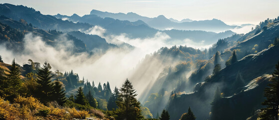 Sun rays piercing through fog over a forested mountain