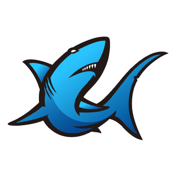 Shark design logo colorful gradient style