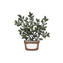 botanical svg, floral svg, flower svg, botanical clipart, floral clipart, flower clipart, wildflower svg, plant svg, floral bundle svg, line art svg, floral line art svg, Plants svg file, 