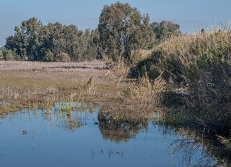 View of the Big Winter Pool after heavy rains in January 2024, Herzliya Park, Herzliya city, Israel  