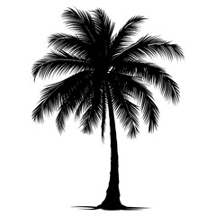 Fototapeta na wymiar Silhouette coconut tree black color only