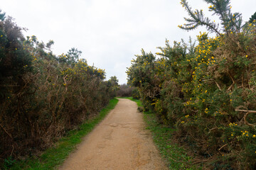 Magnifique paysage de la côte de granit rose à Ploumanac'h en Bretagne - France