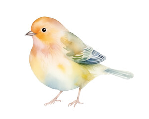 Cute watercolor style bird isolated on transparent background.
