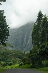 Hawaii's Natural Beauty: A Serene View of Ho'omaluhia Botanical Garden