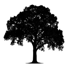 Silhouette tree nature black color only