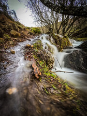 Naklejka premium Río 