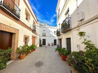 Fototapeta na wymiar street in the old town of Tarifa with typical white Andalusian houses and plants, Costa de la Luz, Andalusia, province of Cádiz, Spain