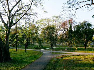 Benjakitti Forest Park with greenfields in Bangkok, Thailand.