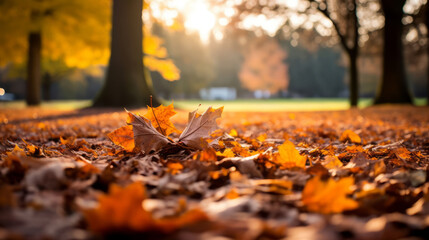 autumn leaves blanketing the ground in the park, seasonal greetings 