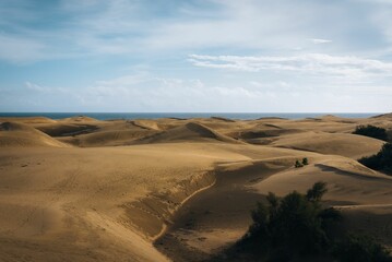 a dirt field that has some sand in it by the ocean