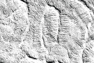 Abstract monochrome wall texture black texture on white color background. © Mohammad