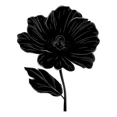 Silhouette flower full body black color only