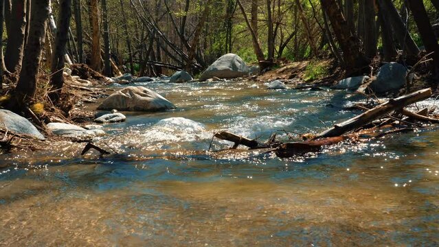 Water flowing through a river against a tree branch. Tree trunk in the middle of a river with water falling and rocks in the background. Mountain river on a sunny day. Eaton Canyon. Slow motion, 4k