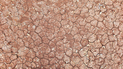A detailed texture of parched, cracked earth, capturing the patterns formed in arid conditions...