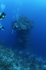 Naklejka na ściany i meble Grand Cayman Scuba Diving Photos