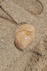 coral rocks between white sand and puddles of sea water on the beach