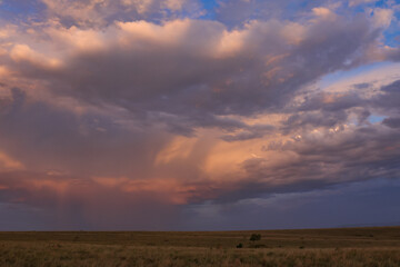 incoming rainfront in the savannah of Maasai Mara NP