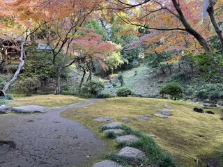 風景、山、秋、富士山、紅葉