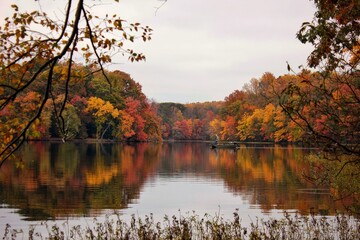 autumn in the park