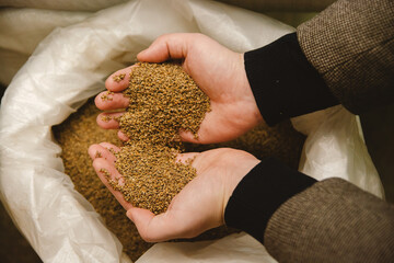 The palms of the hands are full of radish seeds. The palms are over the seed bag.
