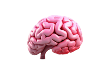 Human brain isolated on transparent background, for icon style.