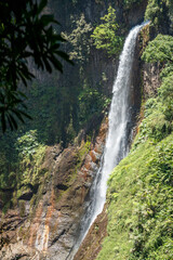 waterfall in jungle - 731857767