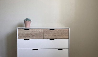 Modern nordic style dresser with flower pot on it in front of clean wall - 731860395