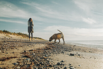person with majorca mastiff dog on the beach walking