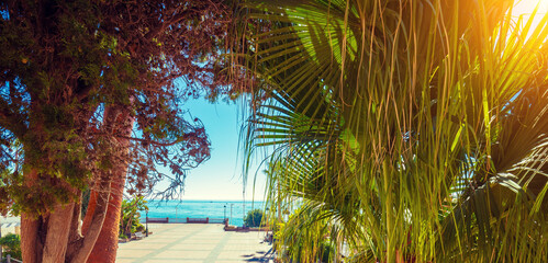 Embankment with palm trees in summer. Nerja, Malaga, Spain. Horizontal banner