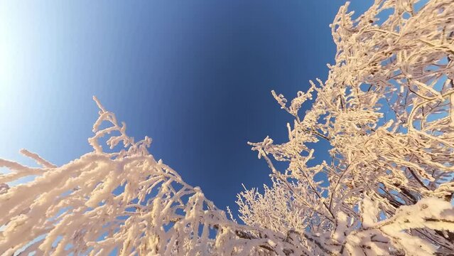 zauberhaft vereiste sonnige Winterlandschaft im Morgenlicht, Winterwunderland, Winterzauber, vereiste B&auml;ume, Schnee, K&auml;lte, Raureif, Natur, Idylle, Frost 
