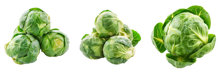 Obraz premium Brussel Sprout Set Isolated on Transparent or White Background, PNG