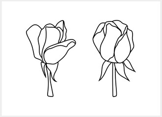 Doodle rose icon isolated Hand drawing line art Flower sketch Vector stock illustration EPS 10