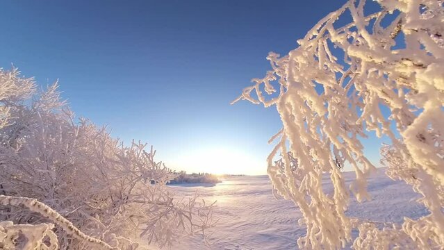 zauberhaft vereiste sonnige Winterlandschaft im Morgenlicht, Winterwunderland, Winterzauber, vereiste B&auml;ume, Schnee, K&auml;lte, Raureif, Natur, Idylle, Frost 
