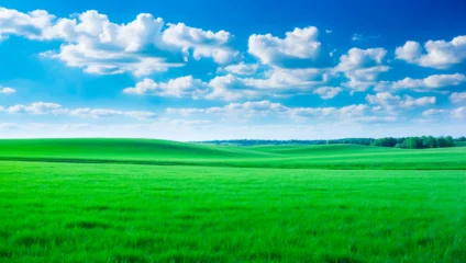 Fotobehang meadow, grassland, landscape,agriculture,lawn, field,  sky, cloud,  flower, nature, spring,Background image of a vast green field under a bright blue sky. bright green grass Receives light well The ba © 9MOR