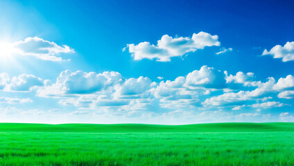 Fototapeta na wymiar meadow, grassland, landscape,agriculture,lawn, field, sky, cloud, flower, nature, spring,Background image of a vast green field under a bright blue sky. bright green grass Receives light well The ba