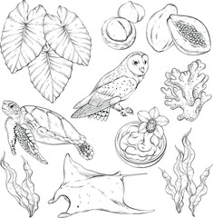 Seamless outline pattern with Tropical elements.