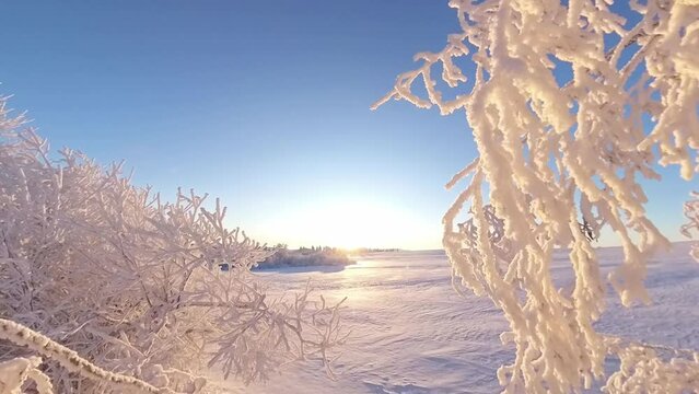 zauberhaft vereiste sonnige Winterlandschaft im Morgenlicht, Winterwunderland, Winterzauber, vereiste B&auml;ume, Schnee, K&auml;lte, Raureif, Natur, Idylle, Frost 
